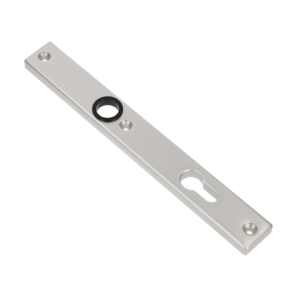 AMI Smalschild 245/30 Profielcilinder 72 R5,5 F-1 - 510641 afbeelding